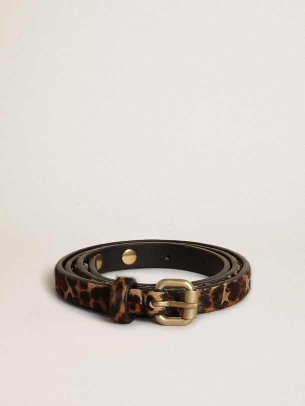 Golden Goose - Cinturón Molly de piel efecto potro con estampado leopardo negro y marrón con tachas con forma de estrella in 