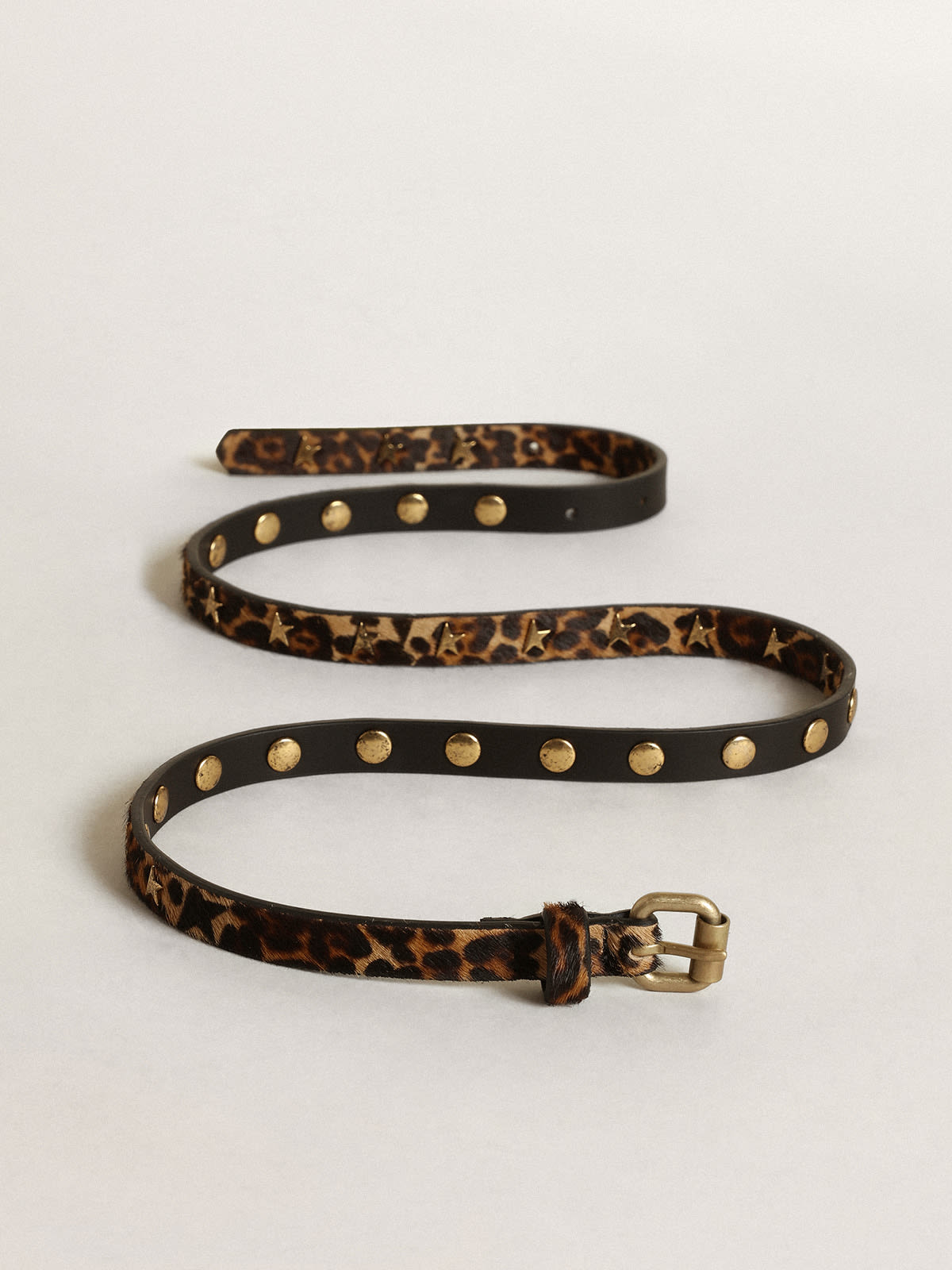 Golden Goose - Women's belt in black and brown leopard print pony skin with studs in 
